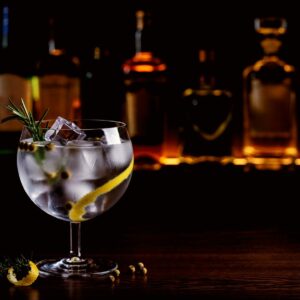 Gin Tonic an der Bar Gin Tonic an der Bar